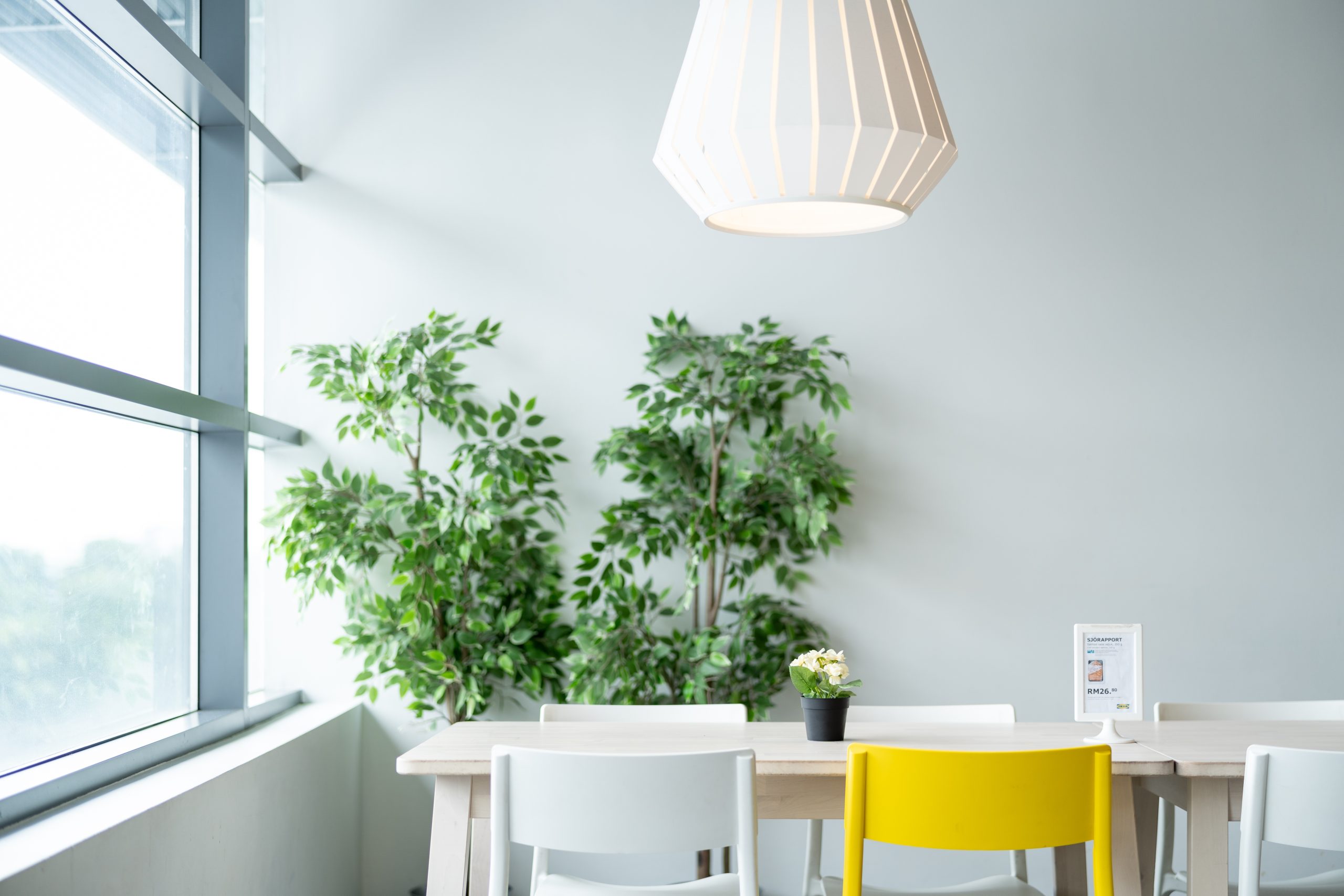 Design interior sustenabil și soluții pentru o locuință eficientă